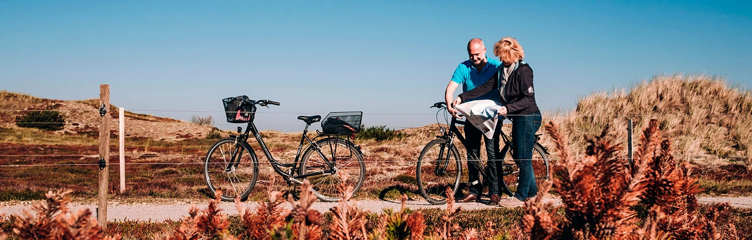 Cykeltasker store -Cykeltasker store topbanner cykelferie